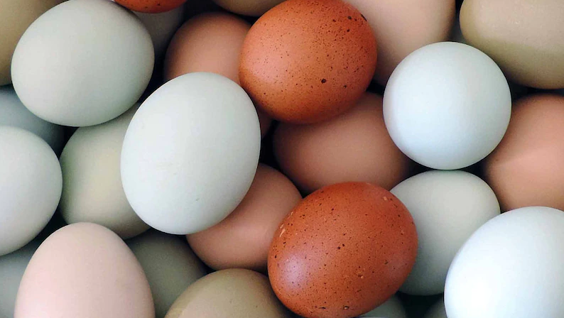 For His Glory Farm | restaurant | Lancewood Cir S, Port Orange, FL 32127, USA | 3863104047 OR +1 386-310-4047