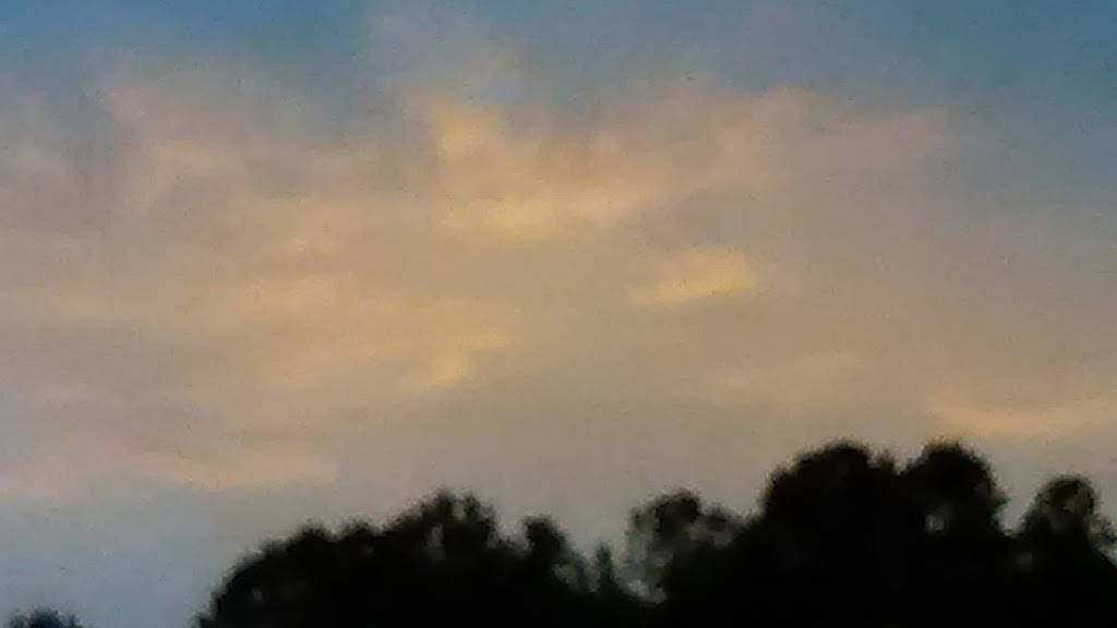 Subway | restaurant | 50040 Governors Dr, Chapel Hill, NC 27517, USA | 9199297979 OR +1 919-929-7979