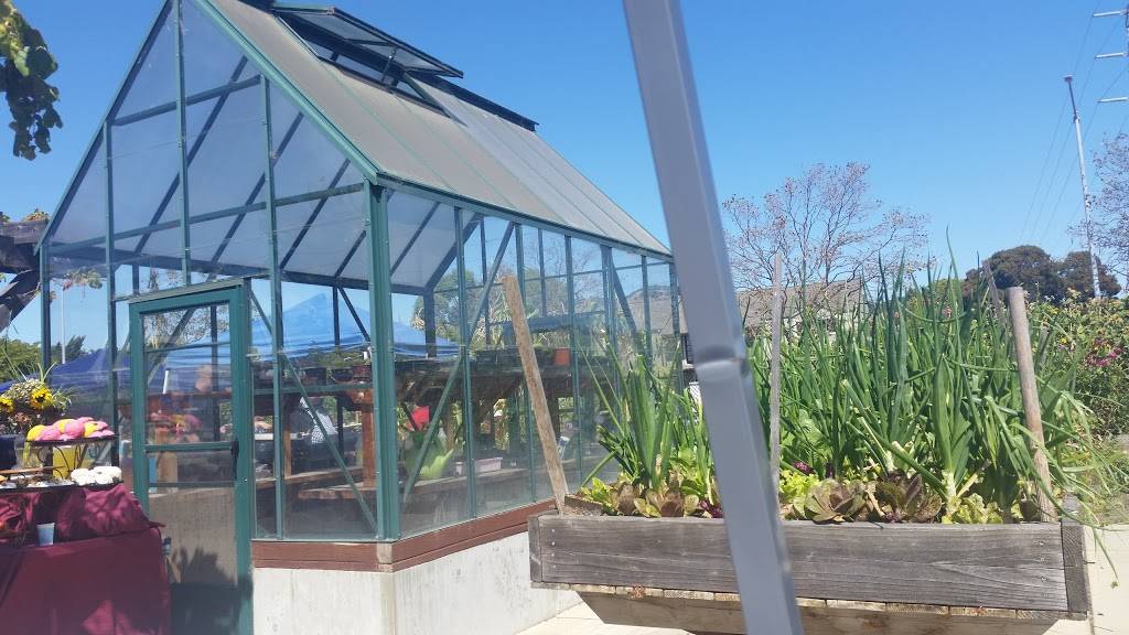 Picante | restaurant | 340 Bellam Blvd, San Rafael, CA 94901, USA | 4154856050 OR +1 415-485-6050