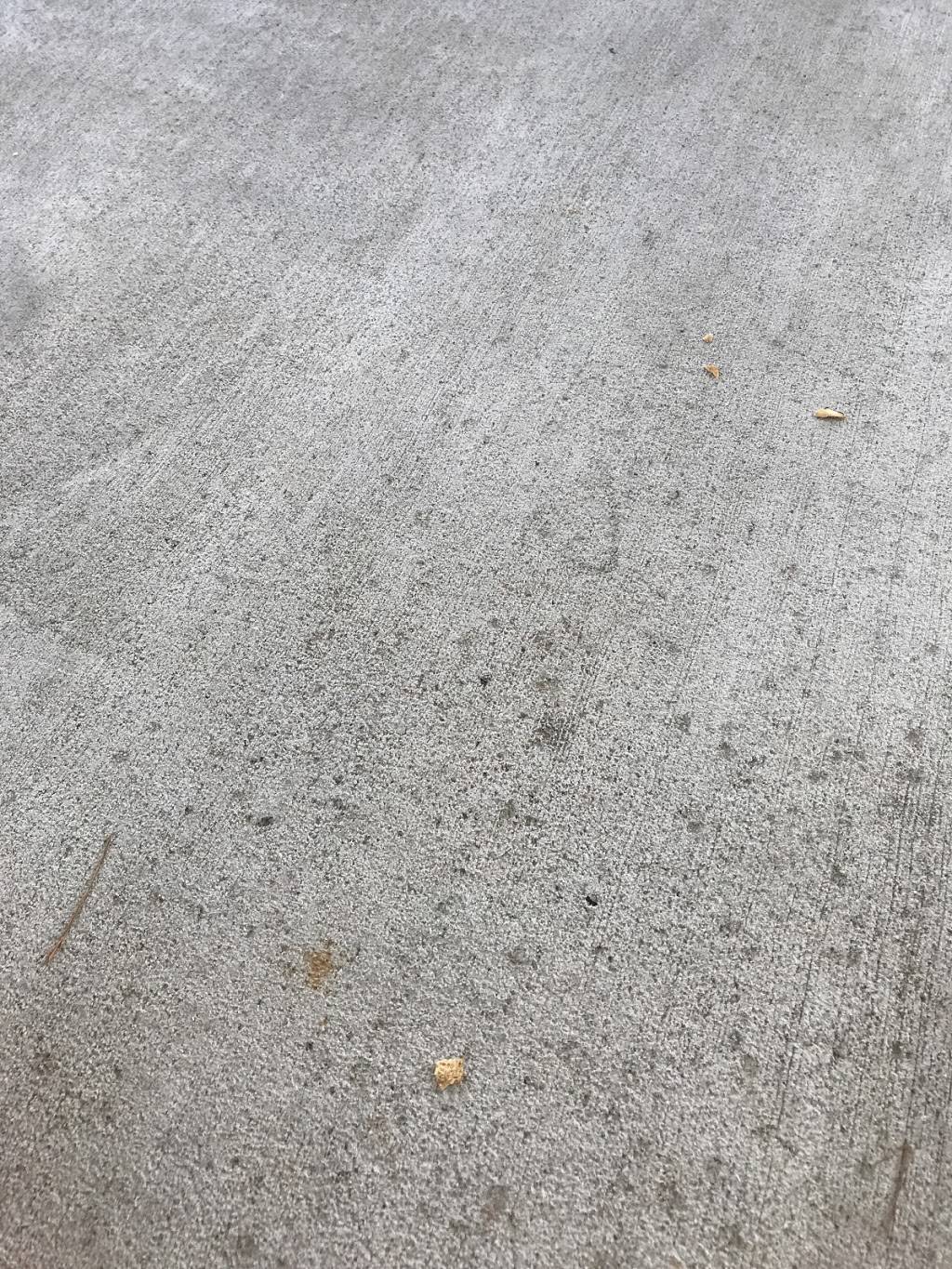 Jimmy Johns | meal delivery | 487 Turner McCall Blvd NE, Rome, GA 30165, USA | 7065847704 OR +1 706-584-7704