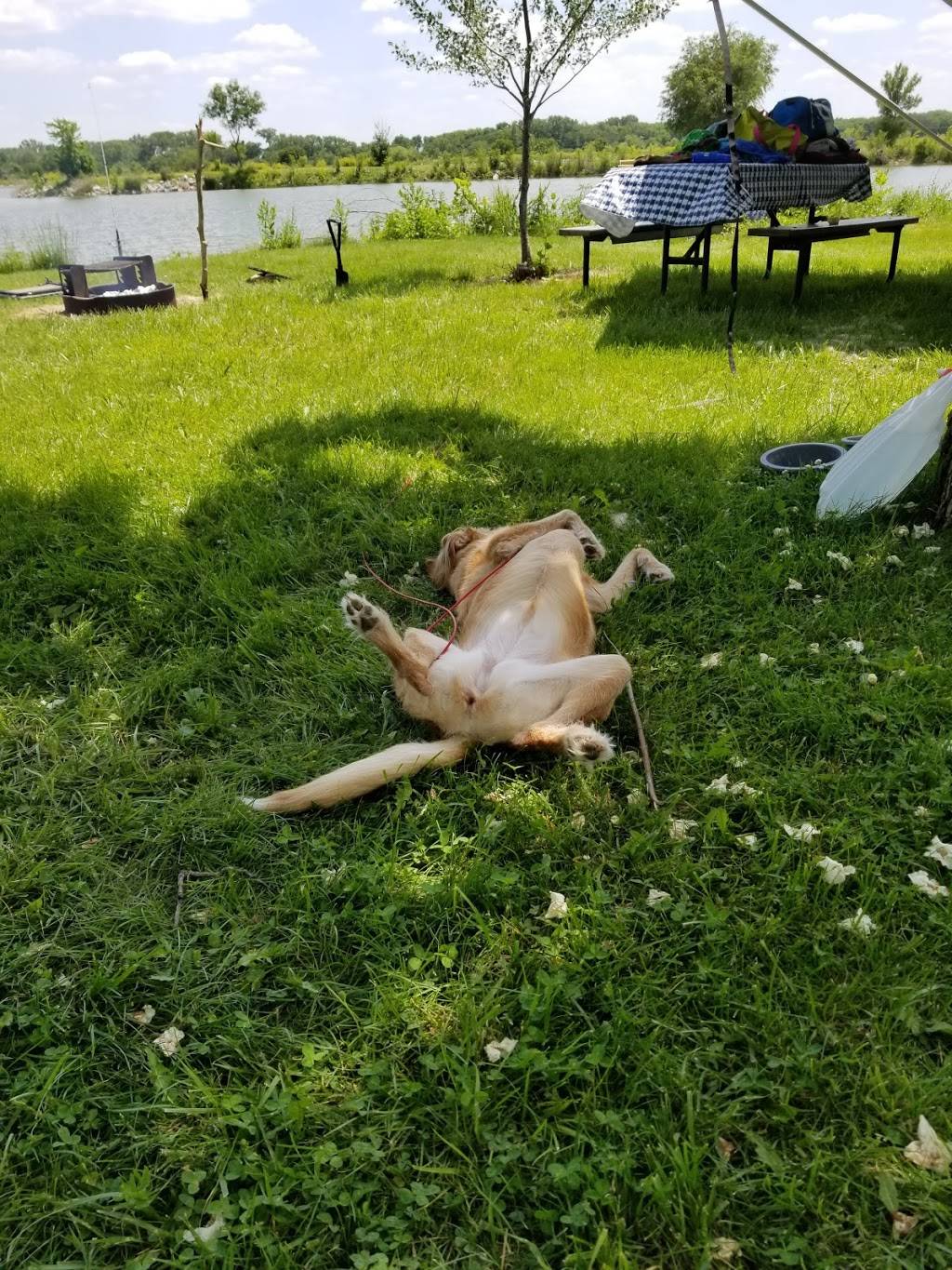 The Snack Shack | restaurant | 56022-, 56032 718th Rd, Alexandria, NE 68303, USA | 4027493111 OR +1 402-749-3111