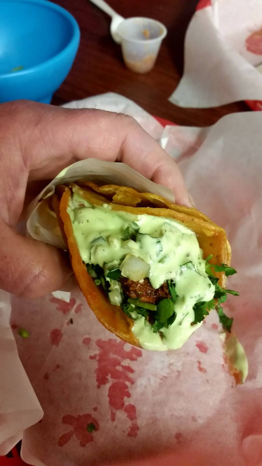 Taqueria Revolución | restaurant | 362 E San Ysidro Blvd, San Diego, CA 92173, USA | 6196903187 OR +1 619-690-3187