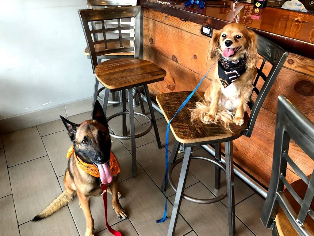 Right Around the Corner - Arcade Brewery & Craft Beer Bar | restaurant | 2244 Central Ave, St. Petersburg, FL 33712, USA | 8133600766 OR +1 813-360-0766