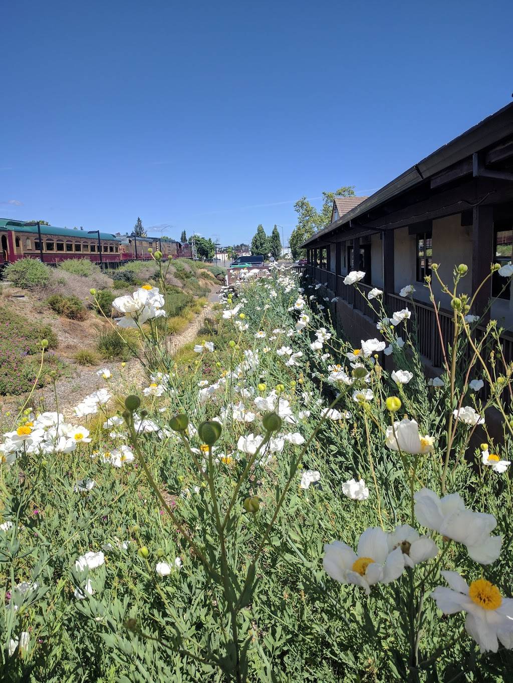 Napa Valley Wine Train | restaurant | 1275 McKinstry St, Napa, CA 94559, USA | 7072532111 OR +1 707-253-2111