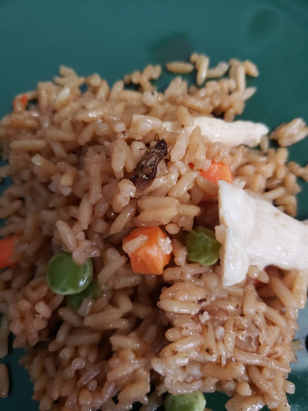 Joy Luck Chinese Restaurant | restaurant | 2966 S Ridgewood Ave, Edgewater, FL 32141, USA | 3864260797 OR +1 386-426-0797