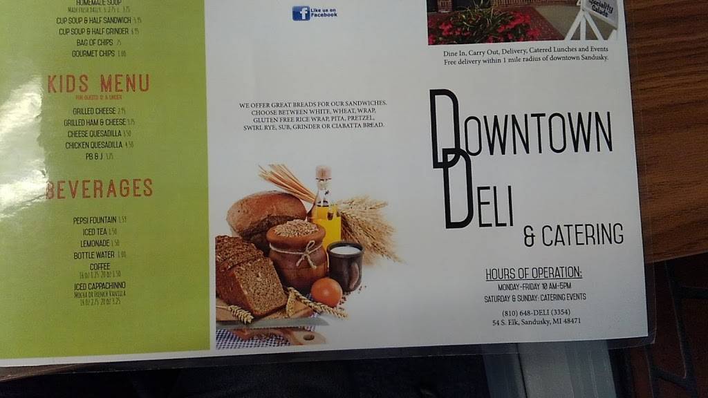 Downtown Deli | restaurant | 54 S Elk St, Sandusky, MI 48471, USA | 8106483354 OR +1 810-648-3354