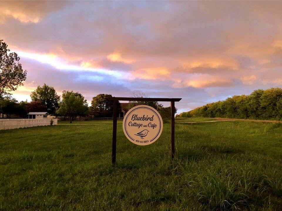 Bluebird Cottage & Cafe | cafe | 3711 FM1461, McKinney, TX 75071, USA | 4694508855 OR +1 469-450-8855