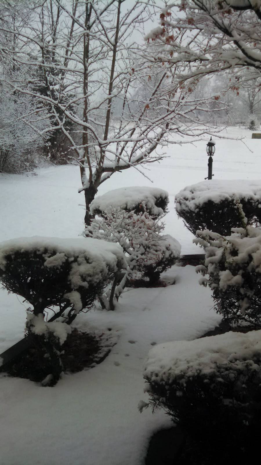 Ethiopia & Somalia Restaurant | restaurant | 4191 Cleveland Ave, Columbus, OH 43224, USA | 6149347493 OR +1 614-934-7493