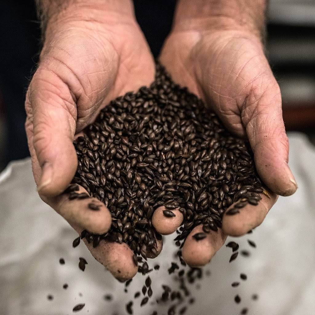 Weasel Boy Brewing Company | restaurant | 126 Muskingum Ave, Zanesville, OH 43701, USA | 7404553767 OR +1 740-455-3767