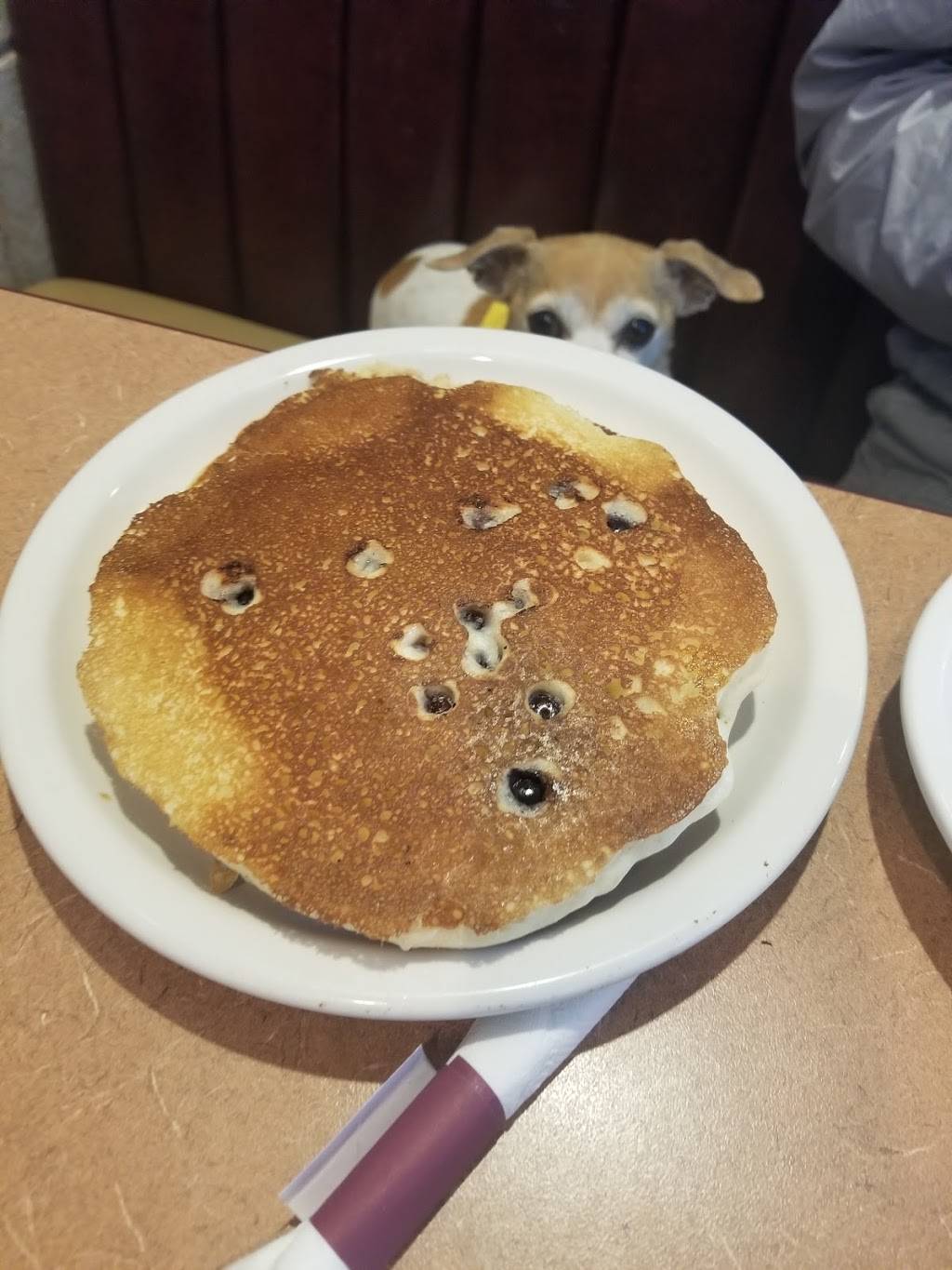 Elys Breakfast Restaurant & Burgers | restaurant | 2855 N Green Valley Pkwy, Henderson, NV 89014, USA | 7252059794 OR +1 725-205-9794