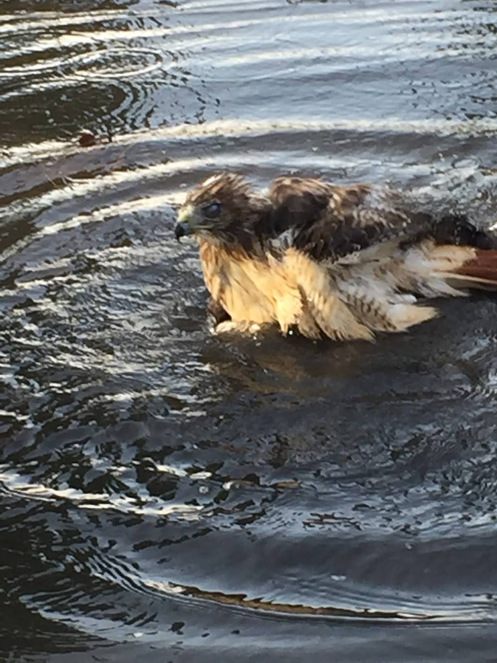 Memorial Park Golf Course and Driving Range | restaurant | 1001 E Memorial Loop Dr, Houston, TX 77007, USA | 8662566688 OR +1 866-256-6688