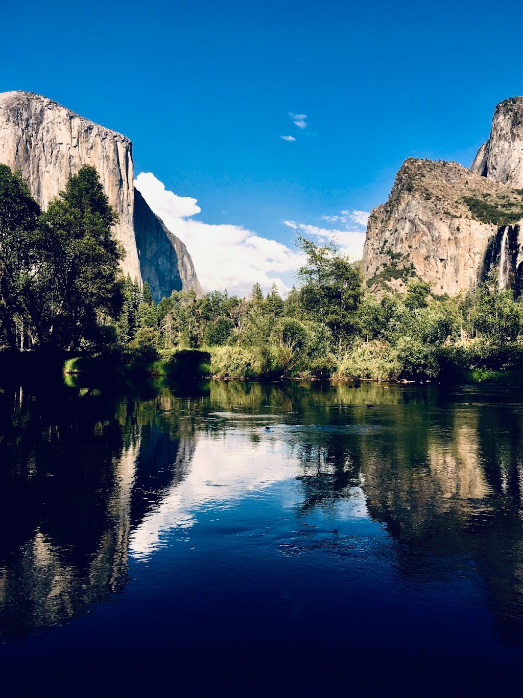 Cakewalk Heirloom Baking Co. | bakery | 5023 Main St, Coulterville, CA 95311, USA | 5083679049 OR +1 508-367-9049