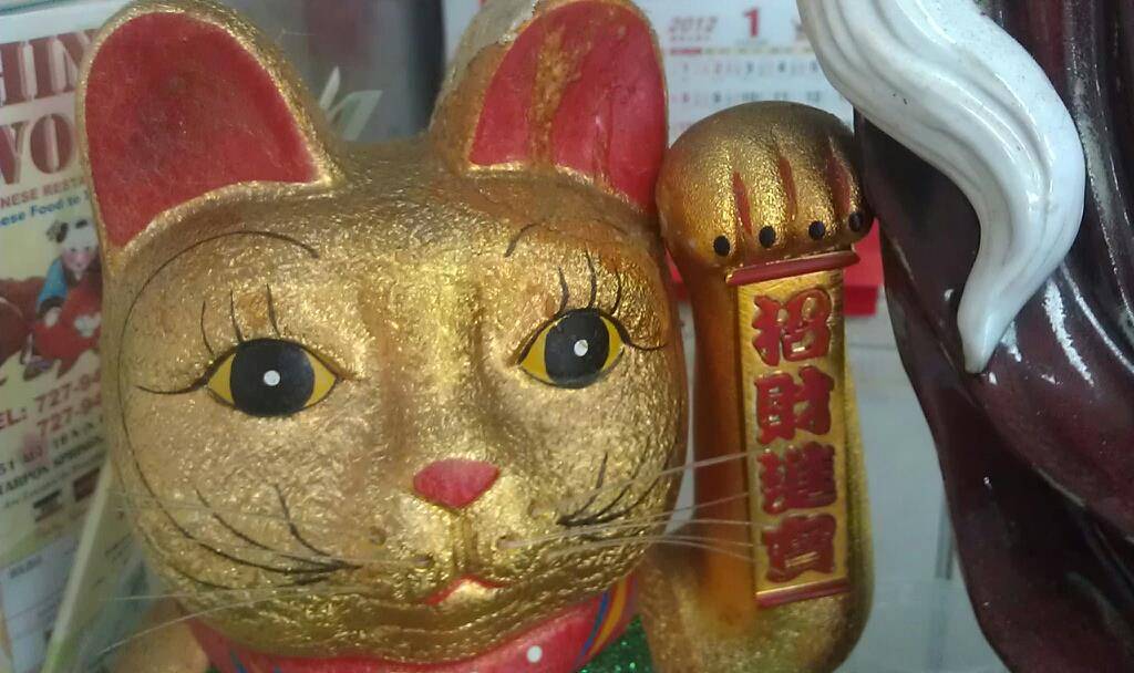 China Wok | restaurant | 1951 N Pinellas Ave, Tarpon Springs, FL 34689, USA | 7279458873 OR +1 727-945-8873