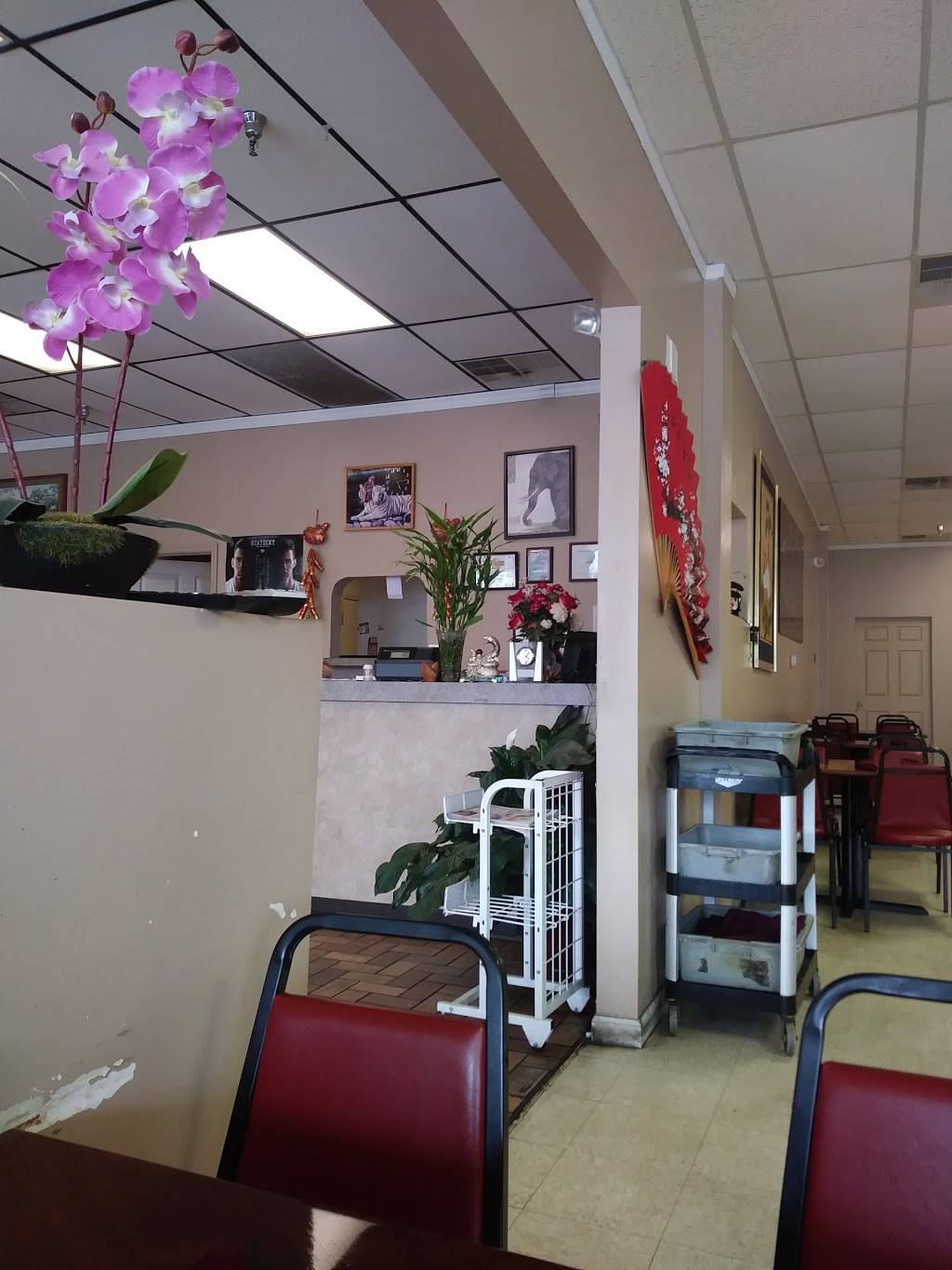 Shanghai Express | restaurant | 751 Slone Dr #11, Georgetown, KY 40324, USA | 5028686858 OR +1 502-868-6858