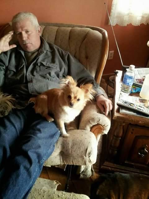 Padovas Pizza | restaurant | 2964 Noe Bixby Rd, Columbus, OH 43232, USA | 6148640973 OR +1 614-864-0973