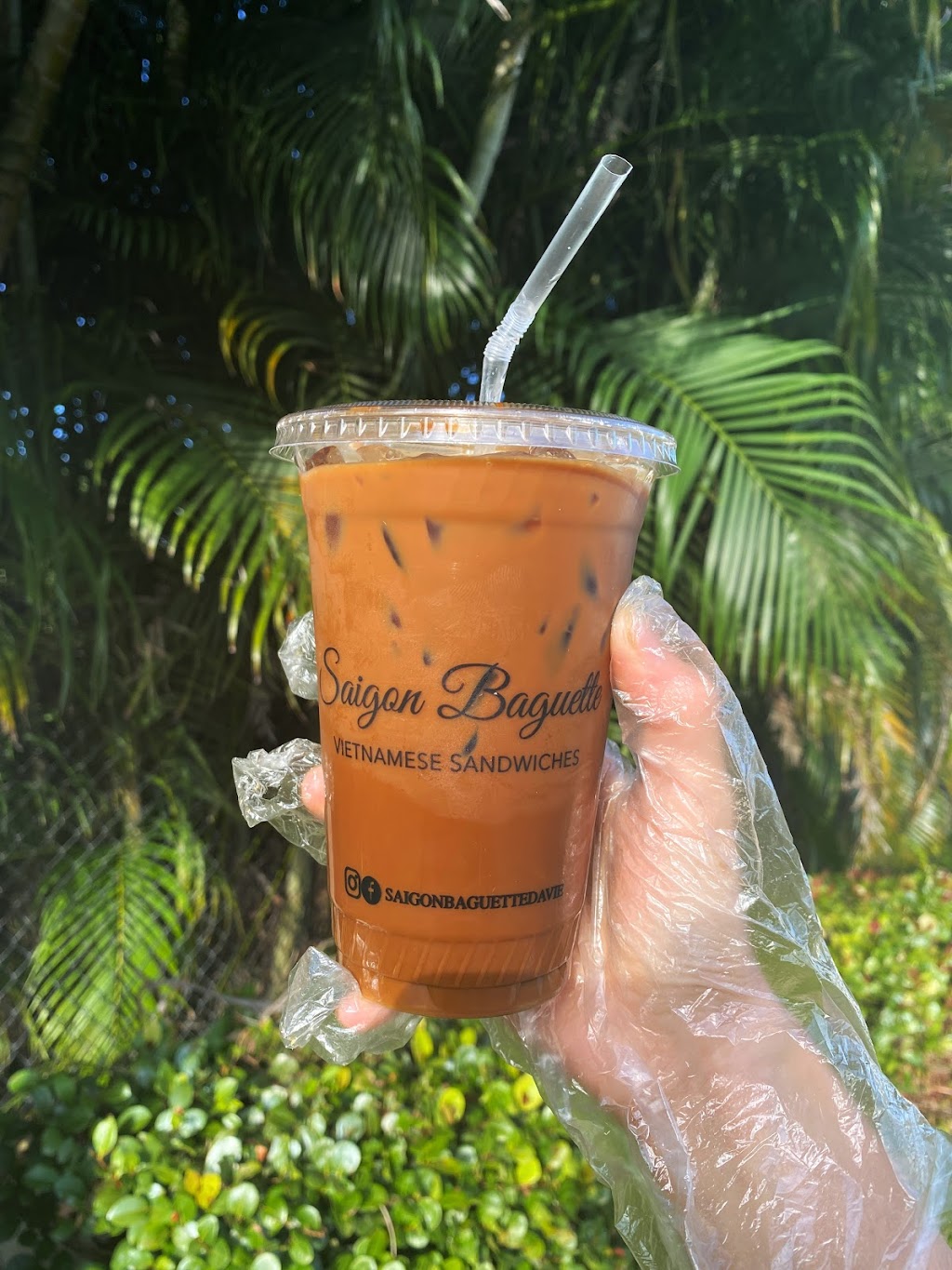 Saigon Baguette Vietnamese Sandwiches | restaurant | 6836 Stirling Rd, Hollywood, FL 33024, USA | 7542633466 OR +1 754-263-3466