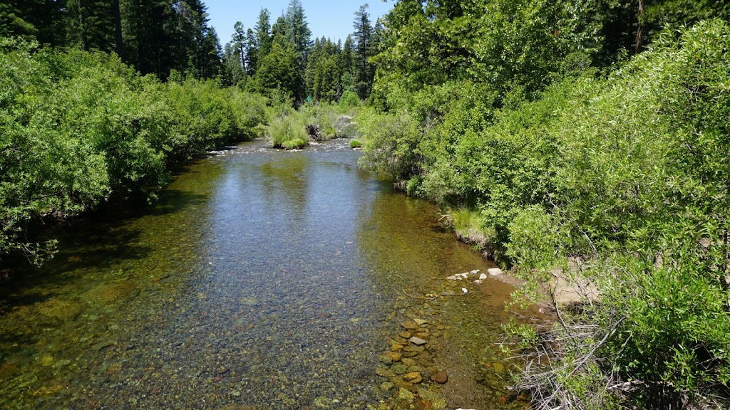 Bambi Inn | restaurant | 7436 Humboldt Rd, Forest Ranch, CA 95942, USA | 5308734125 OR +1 530-873-4125