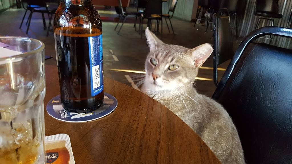 Dallasite Billiards | cafe | 4822 Bryan St, Dallas, TX 75204, USA | 2148263670 OR +1 214-826-3670