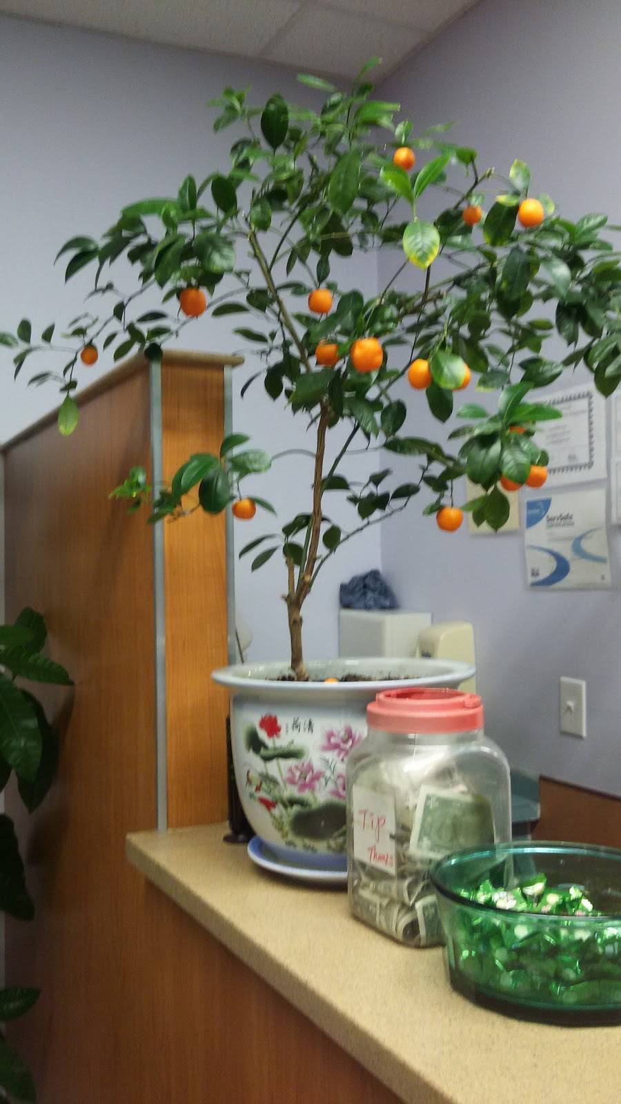 Szechuan Delight | restaurant | 1421 Orleans-Harwich Rd, East Harwich, MA 02645, USA | 5084300022 OR +1 508-430-0022