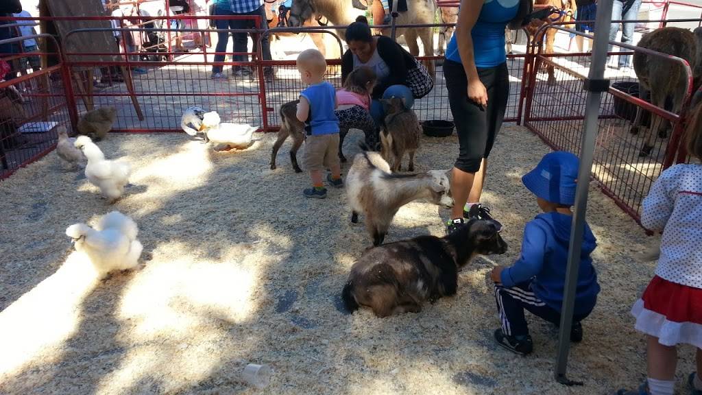 The Victorian | restaurant | 2640 Main St, Santa Monica, CA 90405, USA | 3103924956 OR +1 310-392-4956