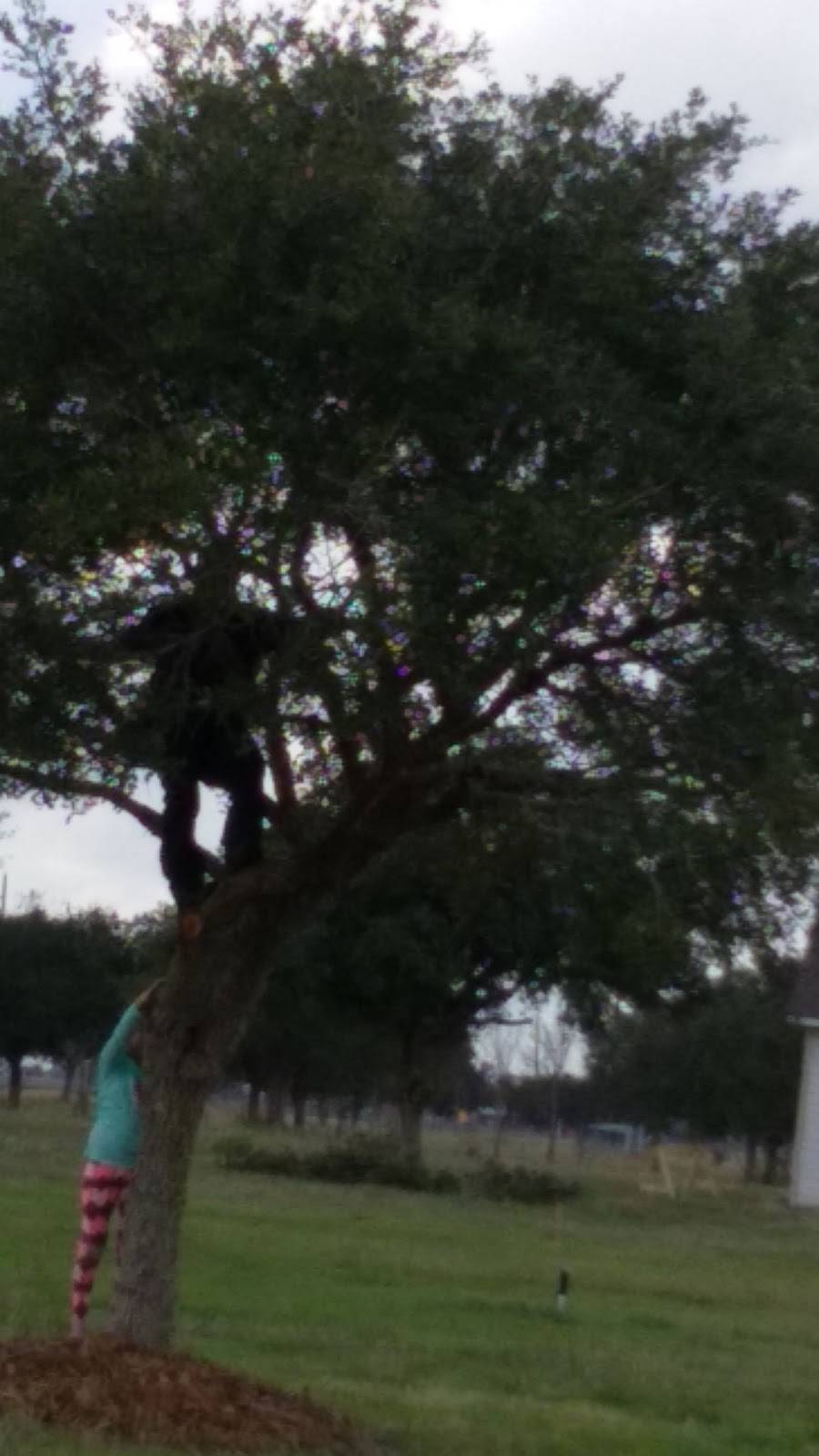 Woodburners Barbecue | restaurant | 15324 Marek Ln, Guy, TX 77444, USA | 9797933800 OR +1 979-793-3800