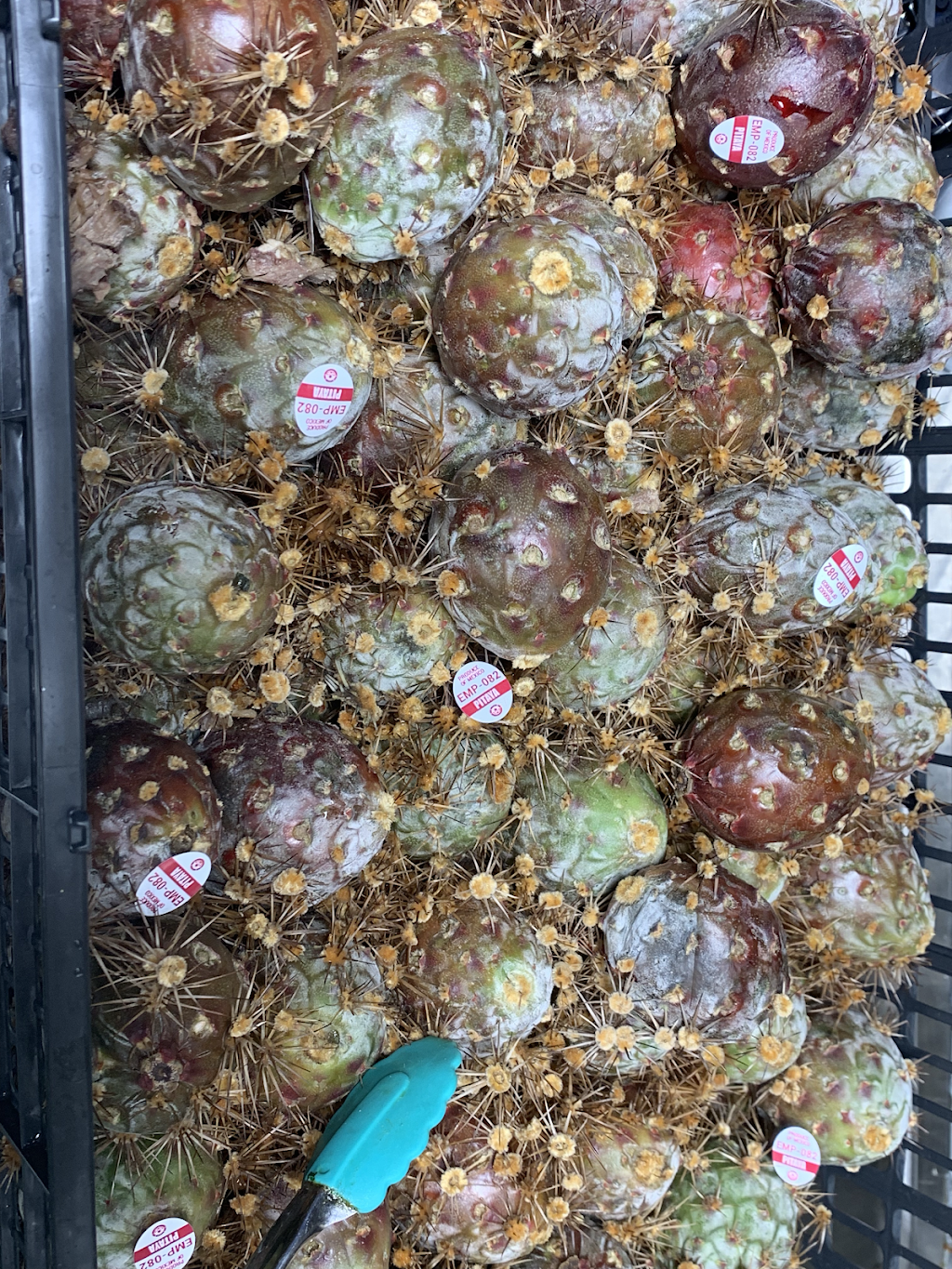 Chofita’s Food truck | restaurant | 20110, Manassas, VA 20110, USA | 7033648914 OR +1 703-364-8914