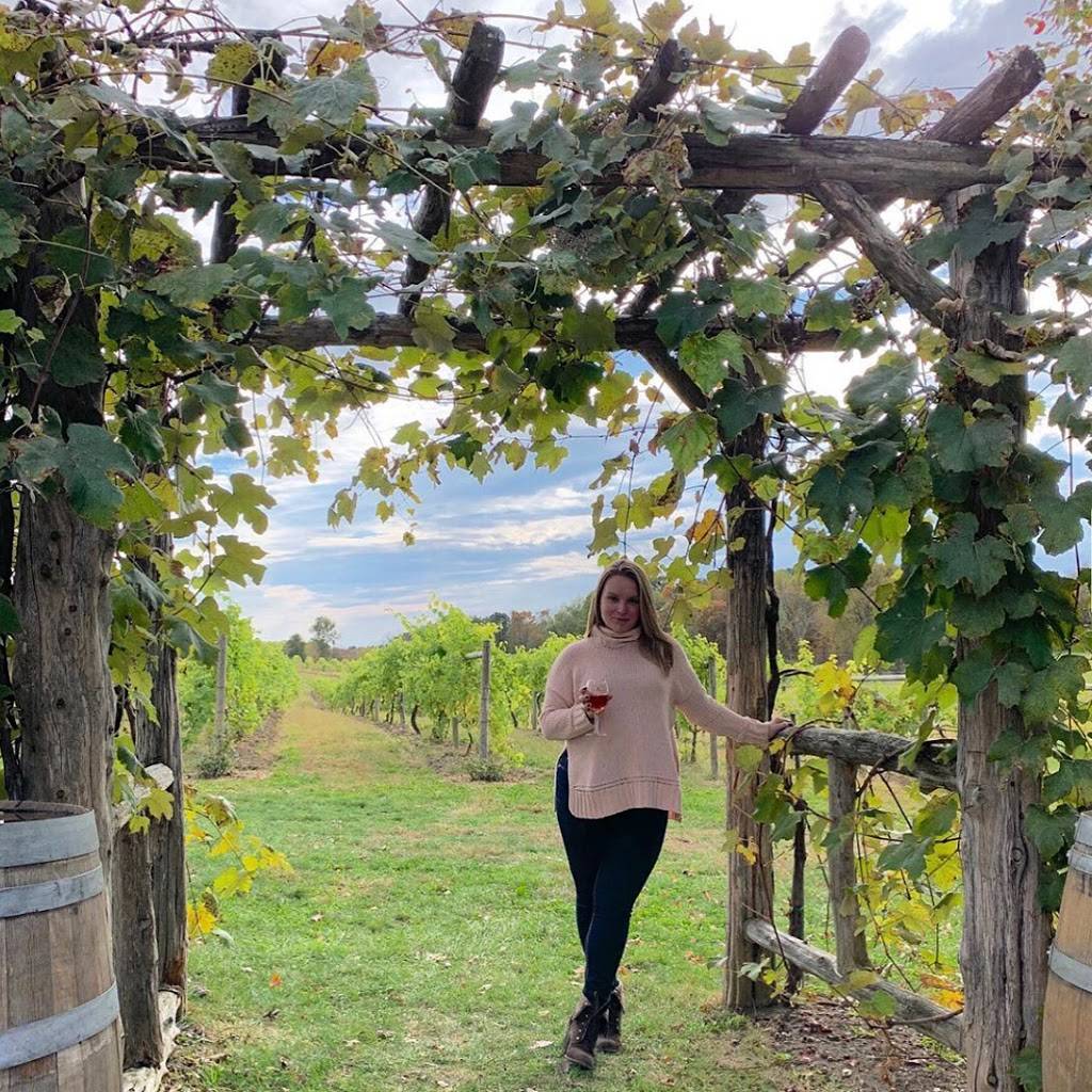 Magnanini Winery, Restaurant & Distillery | restaurant | 172 Strawridge Rd, Wallkill, NY 12589, USA | 8458952767 OR +1 845-895-2767