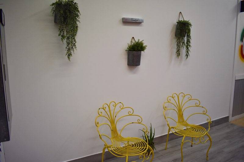 Los Quesudos USA | restaurant | 9864 Southern Blvd, Royal Palm Beach, FL 33411, USA | 5613318114 OR +1 561-331-8114