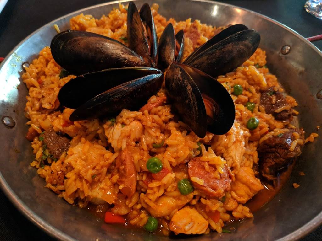 Terra Sur Cafe | cafe | 5358 W Village Dr, Tampa, FL 33624, USA | 8132692694 OR +1 813-269-2694