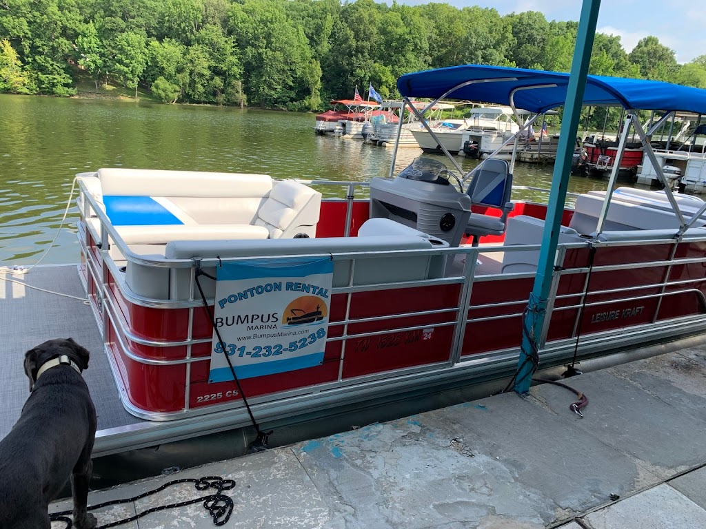 Bumpus Marina | restaurant | 197 Marina Rd, Bumpus Mills, TN 37028, USA | 9312325238 OR +1 931-232-5238