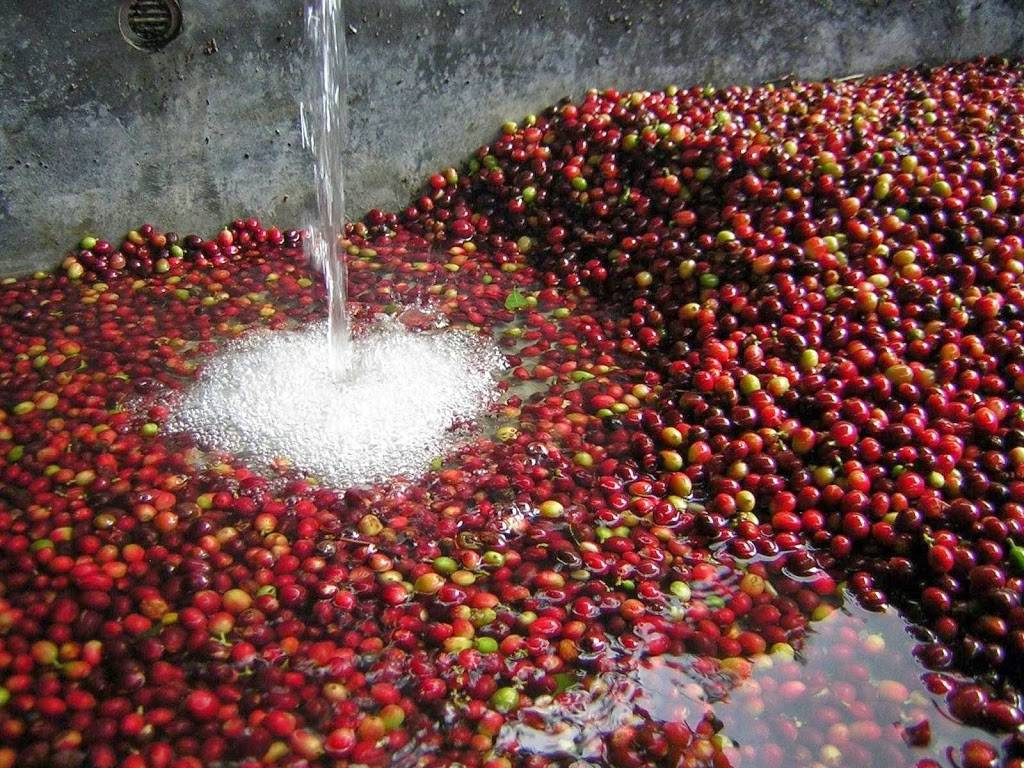 Zumi’s Espresso | bakery | 40 Market St, Ipswich, MA 01938, USA | 9783561988 OR +1 978-356-1988