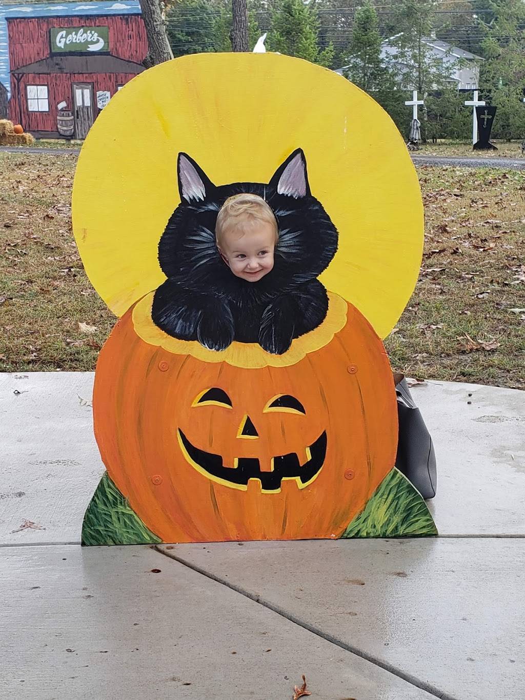 DiDonato Family Fun Center | restaurant | 1151 S White Horse Pike, Hammonton, NJ 08037, USA | 6095613040 OR +1 609-561-3040