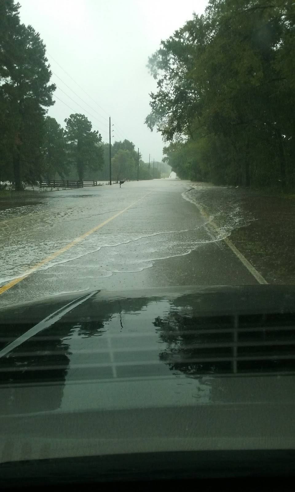 Piney Woods Mart | restaurant | 11845 Calvary Rd, Willis, TX 77318, USA | 9367014090 OR +1 936-701-4090