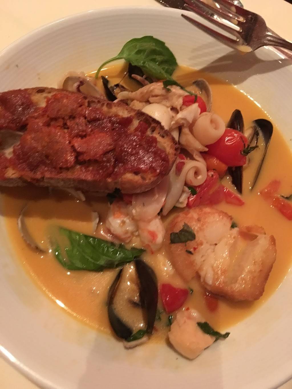 Angelinas Ristorante: Fine Italian Dining | night club | 24041 S Tamiami Trail, Bonita Springs, FL 34134, USA | 2393903187 OR +1 239-390-3187