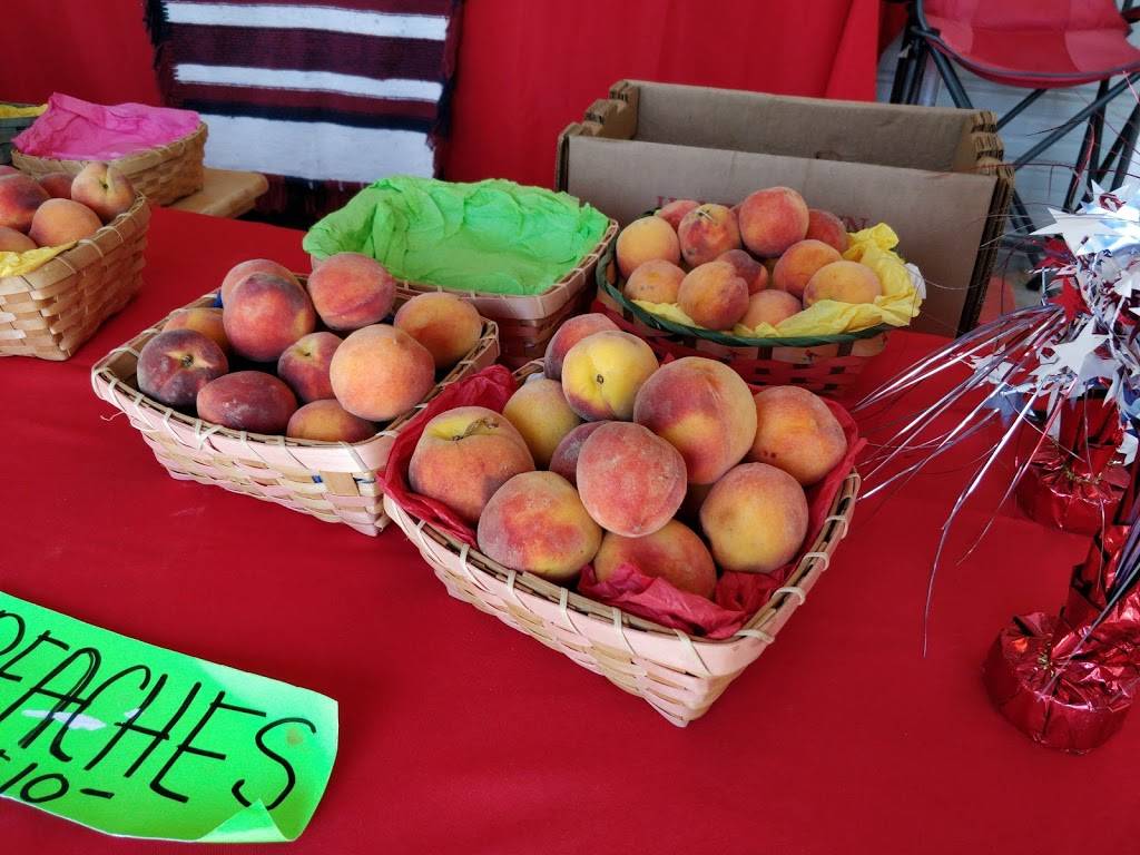 Kendalia General Store | restaurant | 2545 Hwy 473, Kendalia, TX 78027, USA | 8303362450 OR +1 830-336-2450