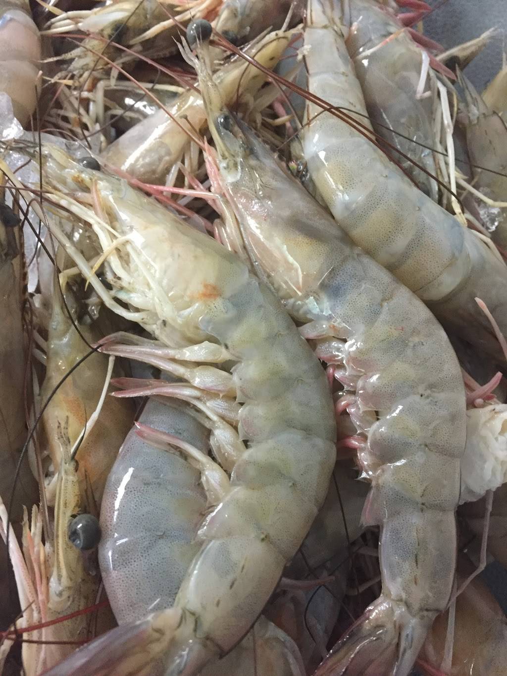 Key West Shrimp Co, Madeira Beach | restaurant | 215 150th Ave, Madeira Beach, FL 33708, USA | 7275921885 OR +1 727-592-1885