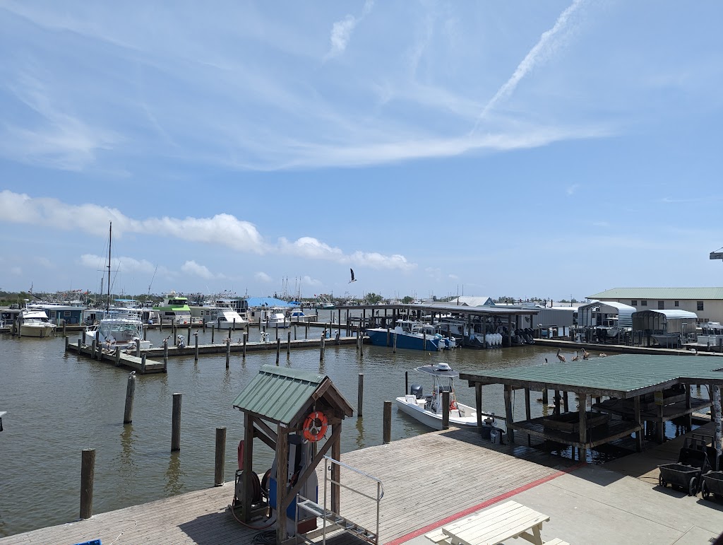 CrawGators Bar & Grill | restaurant | 237 Sports Marina Rd, Venice, LA 70091, USA | 5045349357 OR +1 504-534-9357