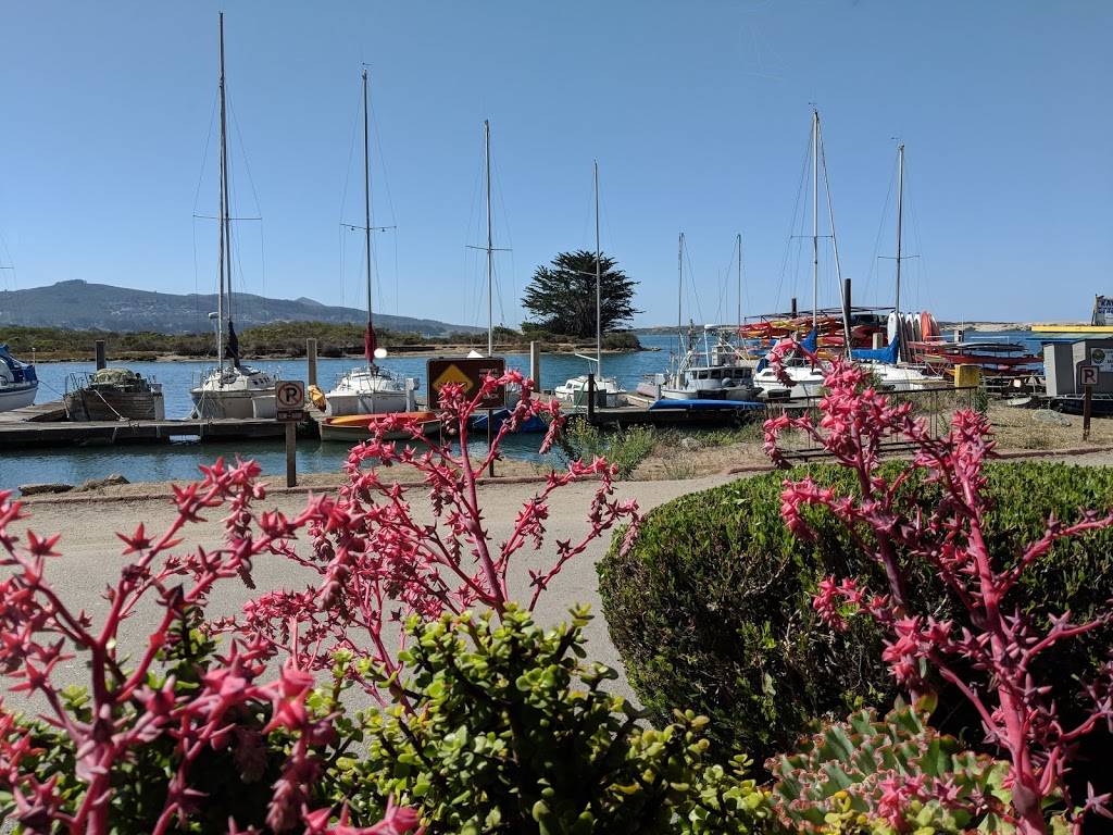 Bayside Cafe | cafe | 10 State Park Rd, Morro Bay, CA 93442, USA | 8057721465 OR +1 805-772-1465