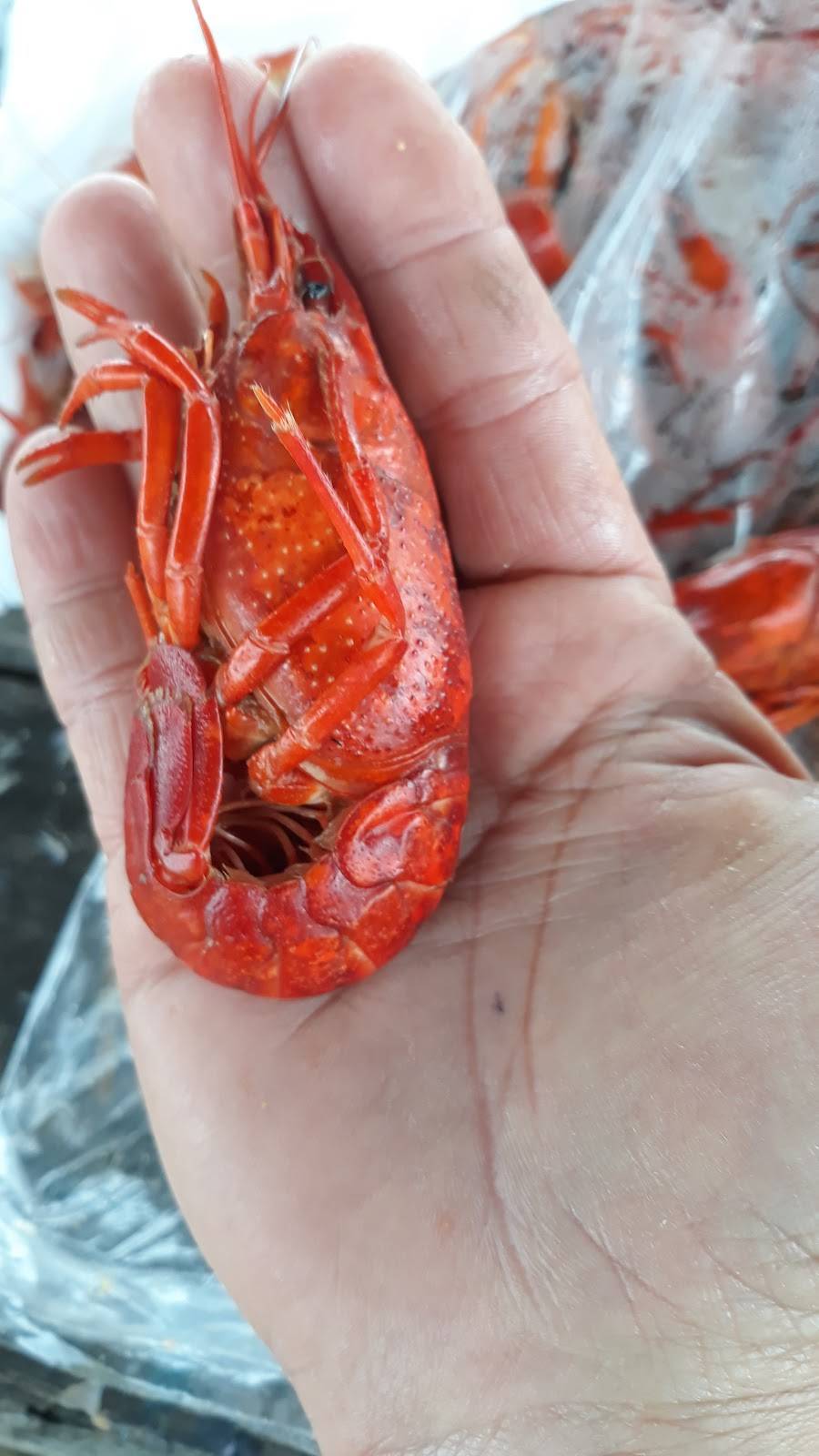 Boyds Cajun Grill Express | restaurant | 227 Dike Rd, Texas City, TX 77590, USA | 4099950903 OR +1 409-995-0903