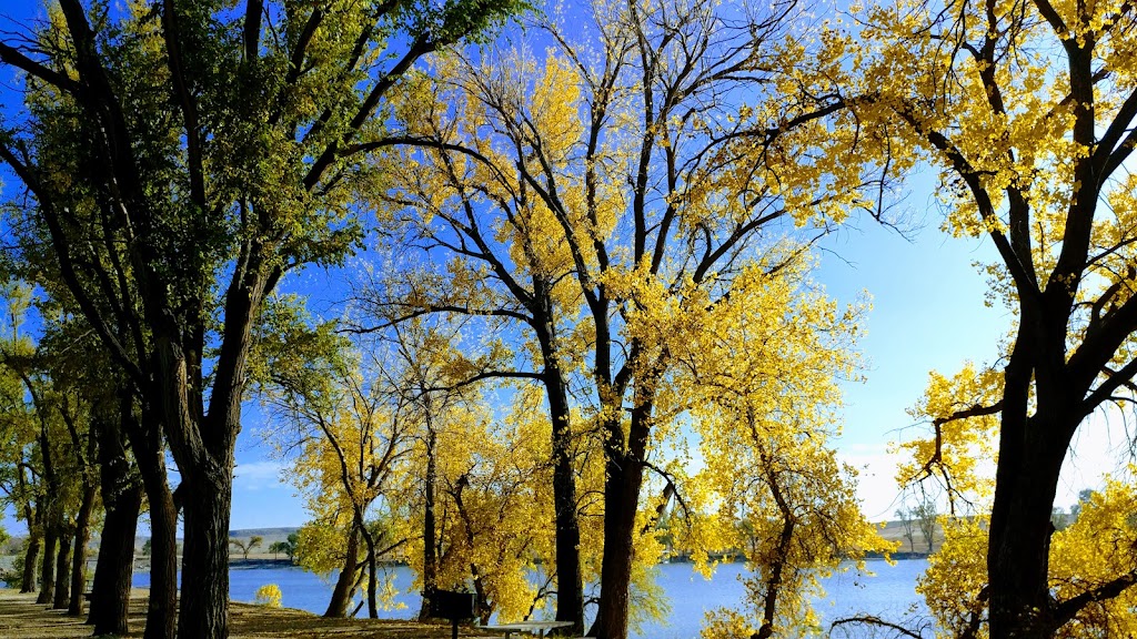 Lobo Cafe at Wolf Creek | restaurant | 13560 Co Rd U, Perryton, TX 79070, USA | 8064354559 OR +1 806-435-4559