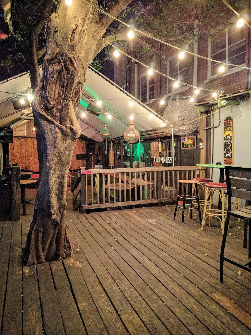 The Dubliner Irish Pub | restaurant | 2307 W Azeele St, Tampa, FL 33609, USA | 8132582257 OR +1 813-258-2257