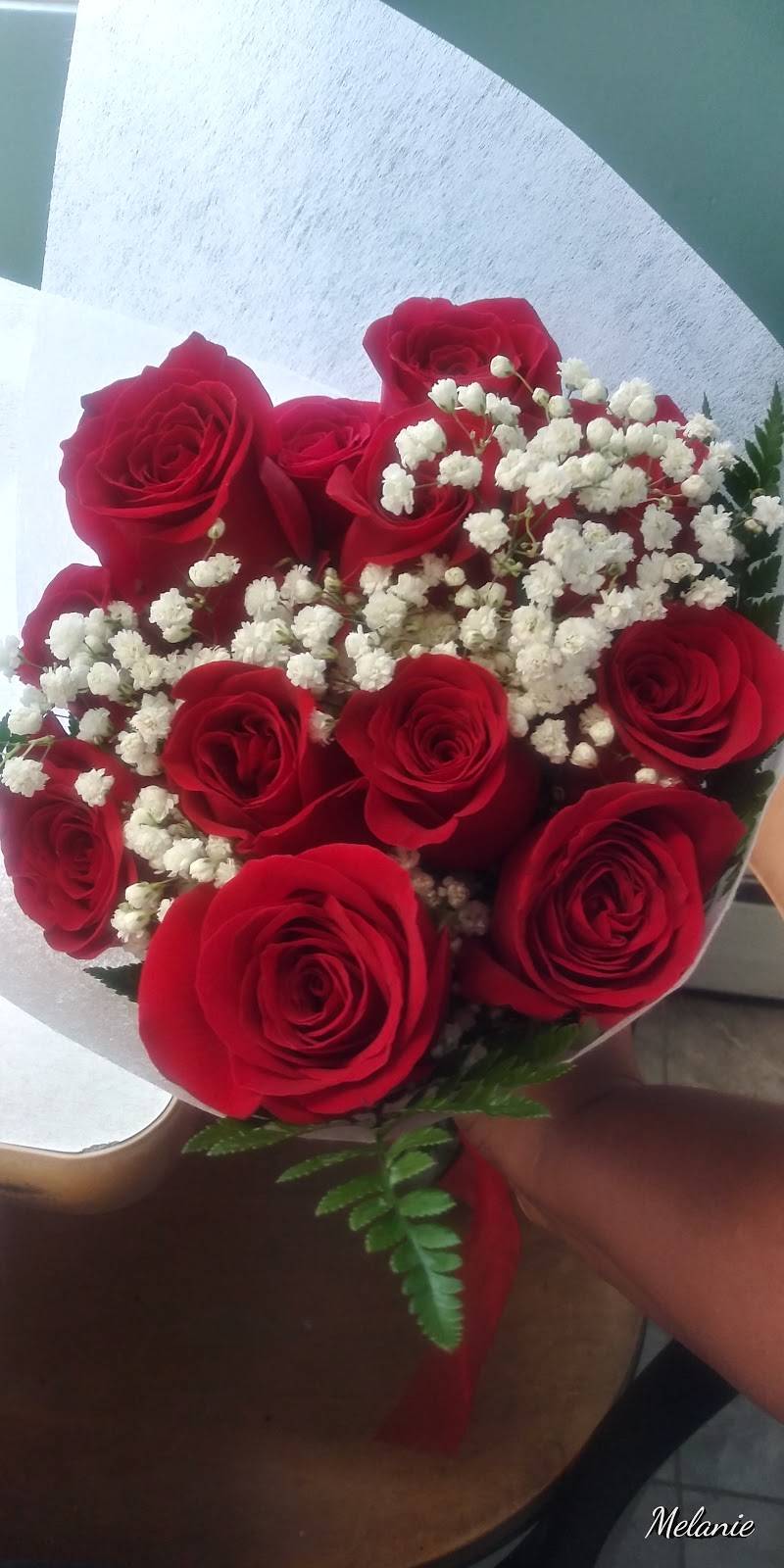 Carmitas Puerto Rican Bakery | bakery | 705 Cranston St, Providence, RI 02907, USA | 4014324046 OR +1 401-432-4046