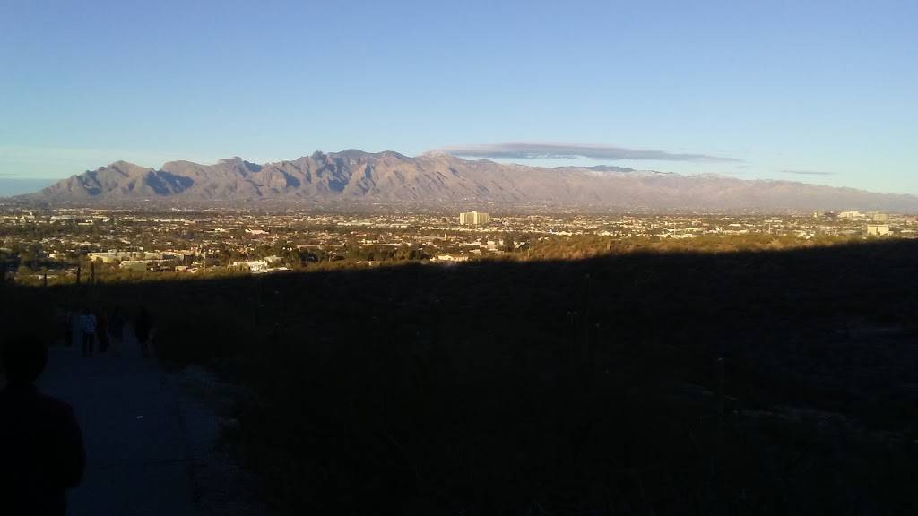 Viva Burrito Co | restaurant | 1372 W St Mary’s Rd, Tucson, AZ 85745, USA | 5206235211 OR +1 520-623-5211