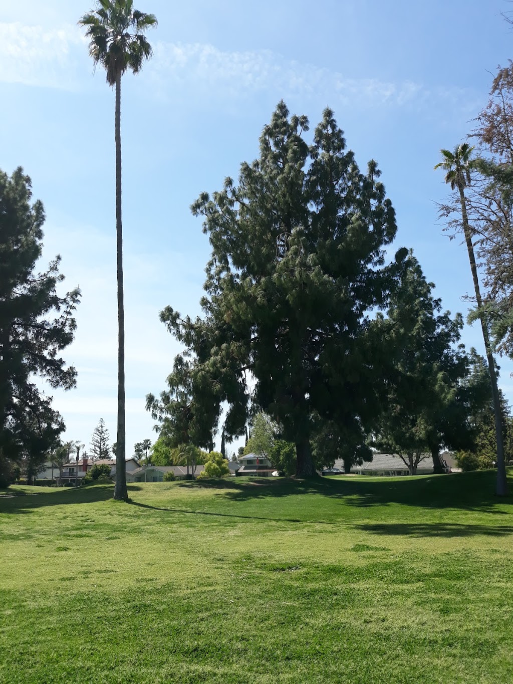 Sundale Country Club | restaurant | 6218 Sundale Ave, Bakersfield, CA 93309, USA | 6618314200 OR +1 661-831-4200