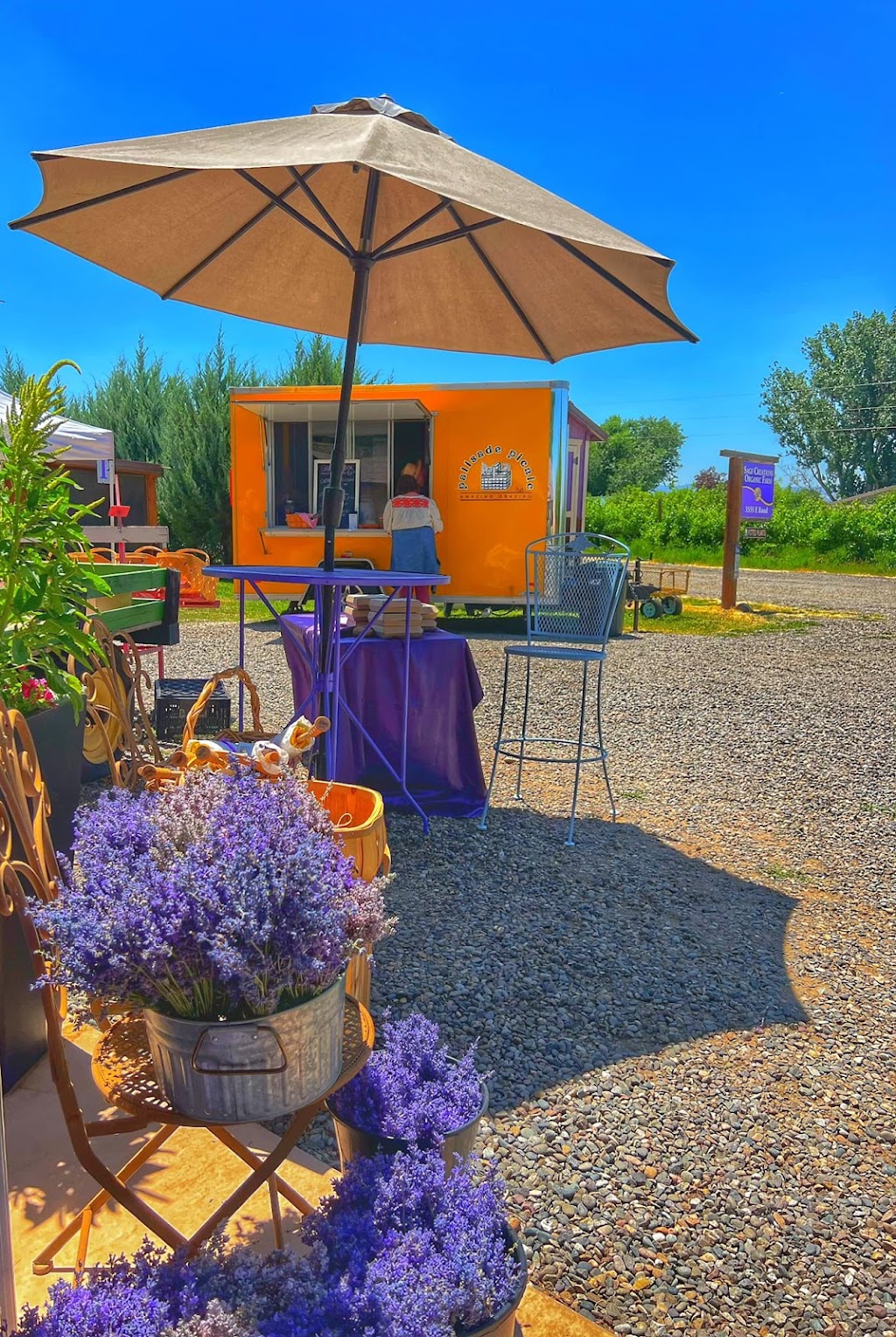 Palisade Picnic Co. | restaurant | 528 Iowa Ave, Palisade, CO 81526, USA | 9704642214 OR +1 970-464-2214