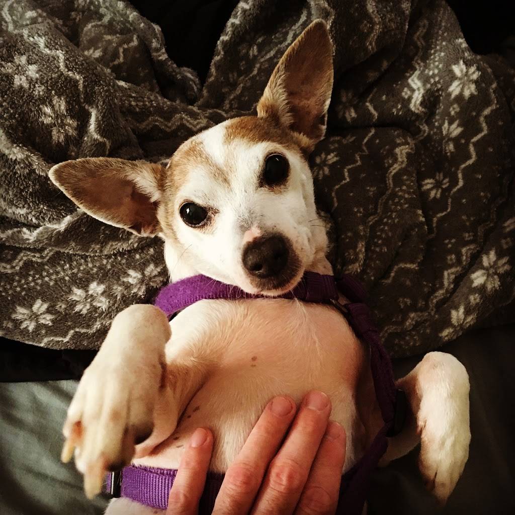 Lucky Buffet | restaurant | 99 Lake St, St Albans City, VT 05478, USA | 8025278388 OR +1 802-527-8388