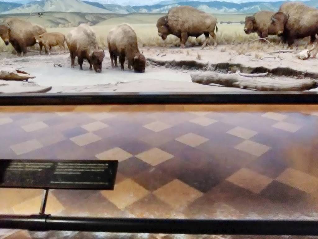 NHM Grill | restaurant | 900 Exposition Blvd, 900 Exposition Blvd, Los Angeles, CA 90007, USA | 2137633466 OR +1 213-763-3466