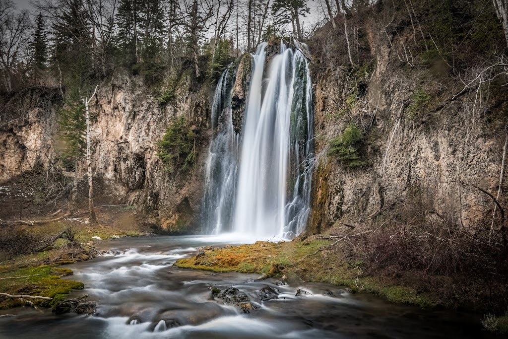 Spearfish Canyon Lodge | restaurant | 10619 Roughlock Falls Rd, Lead, SD 57754, USA | 6055843435 OR +1 605-584-3435