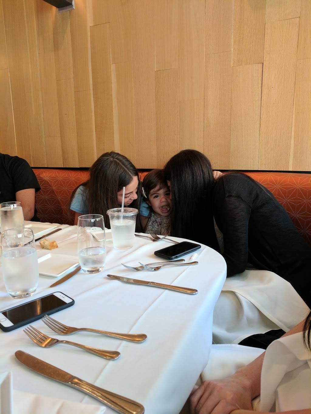 Siena | restaurant | 533 Kings Hwy, Brooklyn, NY 11223, USA | 7186765024 OR +1 718-676-5024