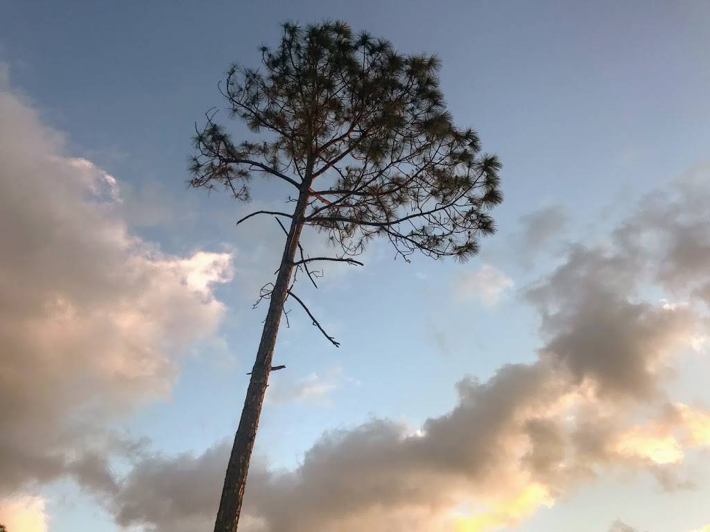 Casita Kramerica at Del Boca Vista | restaurant | 6831 Livingston Woods Ln, Naples, FL 34109, USA | 7274918097 OR +1 727-491-8097